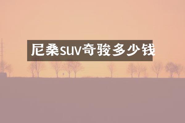 尼桑suv奇骏多少钱
