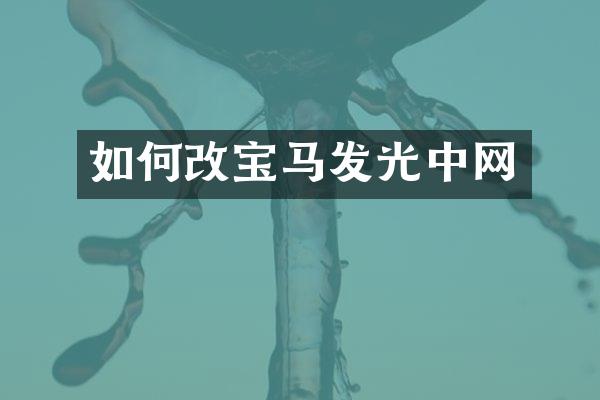 如何改宝马发光中网