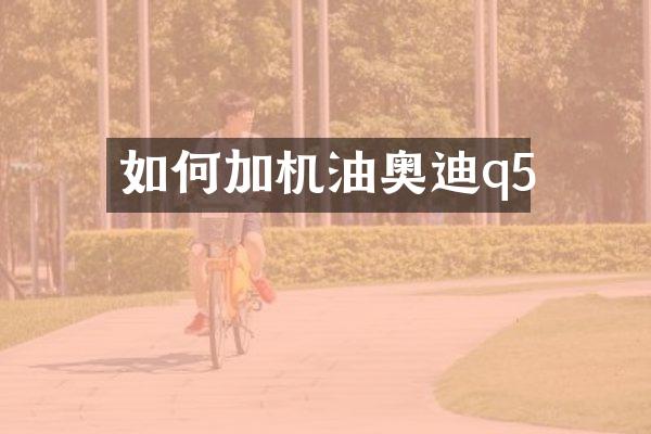 如何加机油奥迪q5