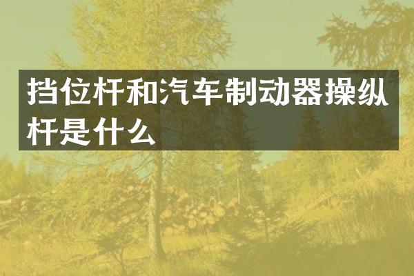 挡位杆和汽车制动器操纵杆是什么