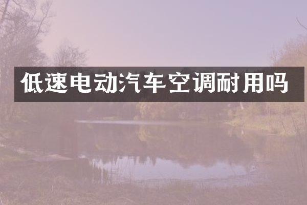 低速电动汽车空调耐用吗