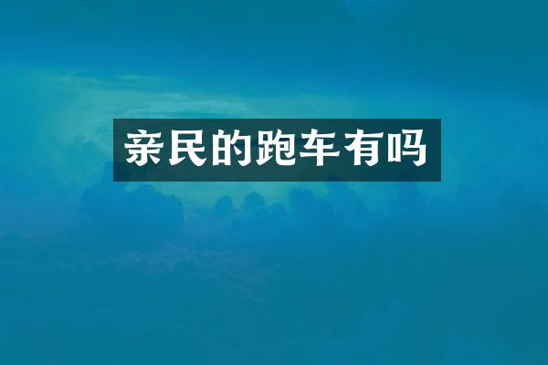 亲民的跑车有吗