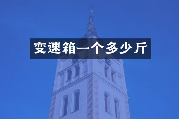 变速箱一个多少斤