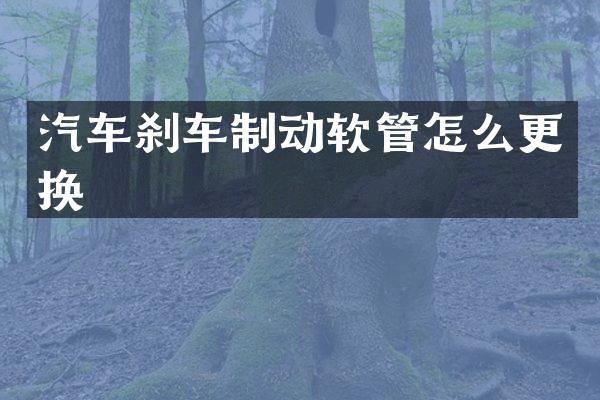 汽车刹车制动软管怎么更换