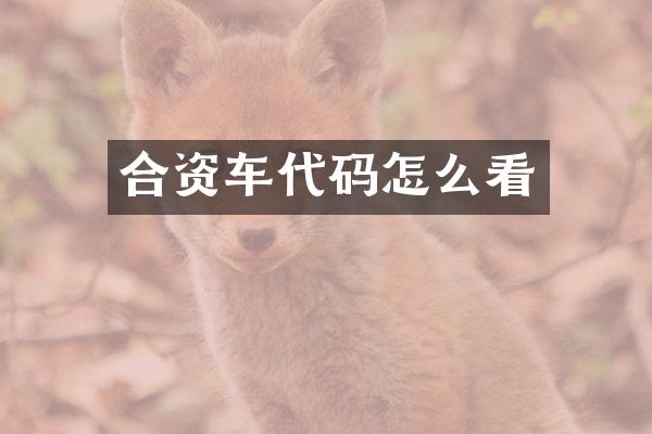 合资车代码怎么看