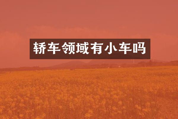 轿车领域有小车吗