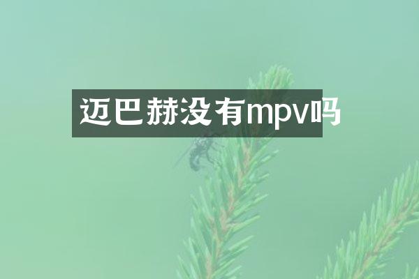 迈巴赫没有mpv吗