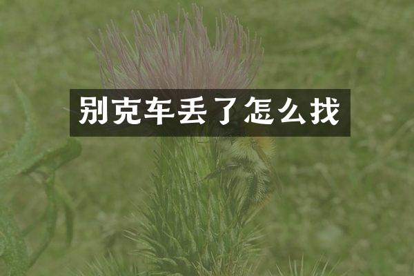 别克车丢了怎么找