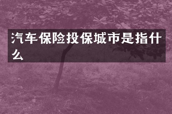 汽车保险投保城市是指什么