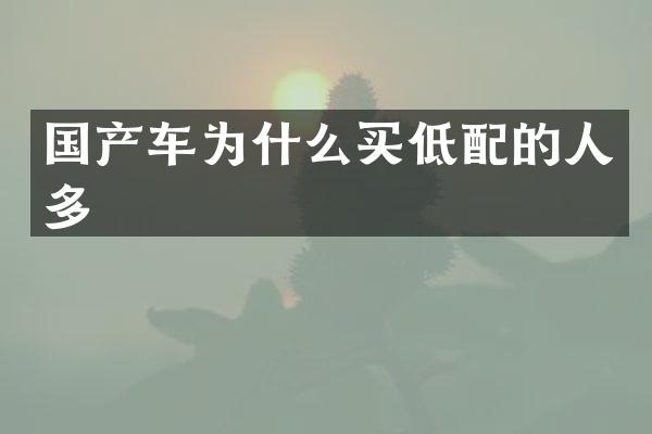 国产车为什么买低配的人多