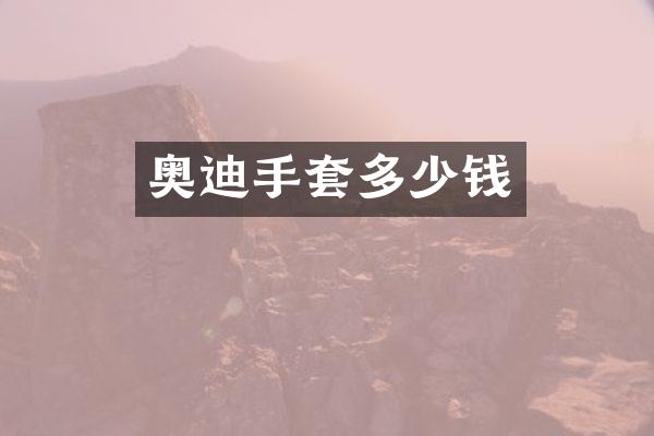 奥迪手套多少钱