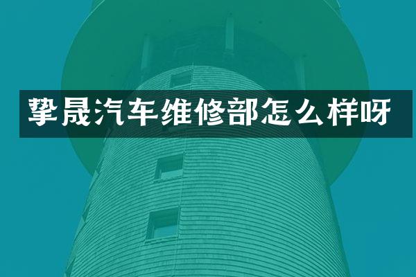 挚晟汽车维修部怎么样呀