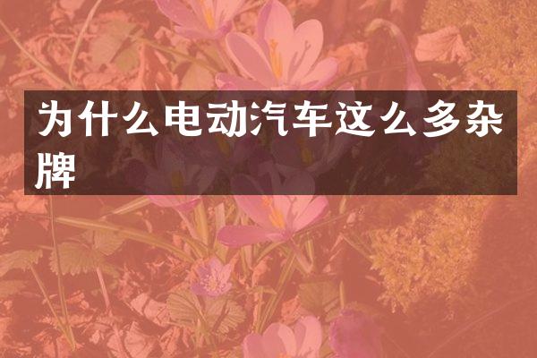 为什么电动汽车这么多杂牌