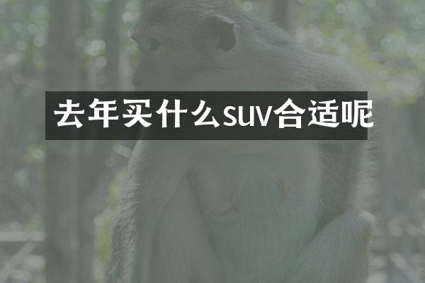 去年买什么suv合适呢