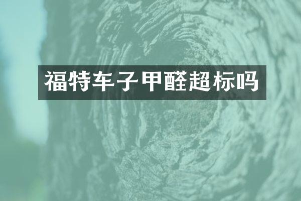 福特车子甲醛超标吗