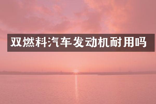 双燃料汽车发动机耐用吗