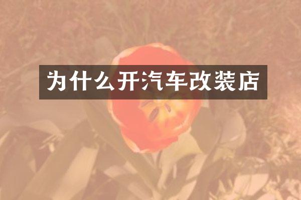 为什么开汽车改装店