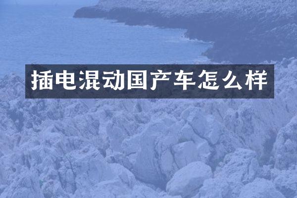 插电混动国产车怎么样