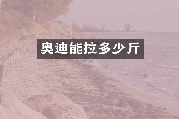 奥迪能拉多少斤