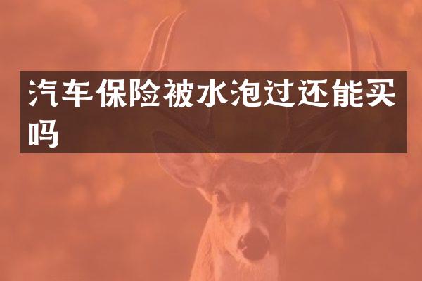 汽车保险被水泡过还能买吗