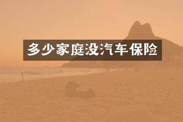 多少家庭没汽车保险