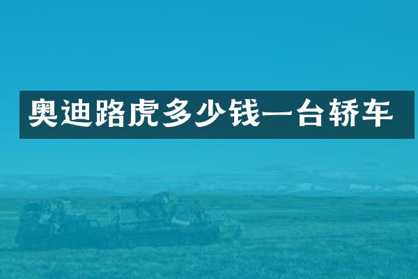 奥迪路虎多少钱一台轿车