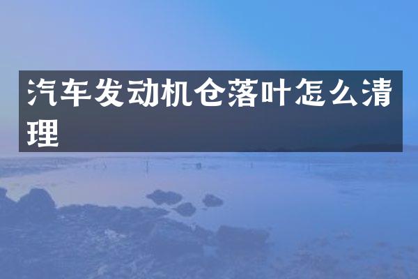 汽车发动机仓落叶怎么清理