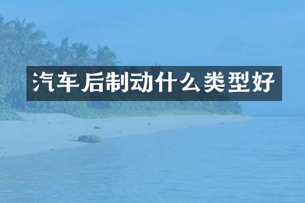 汽车后制动什么类型好