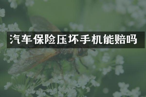 汽车保险压坏手机能赔吗