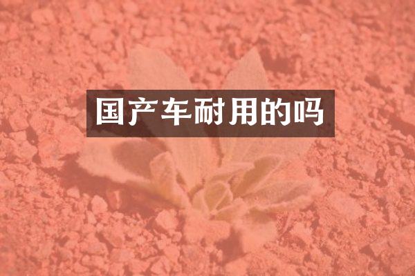国产车耐用的吗