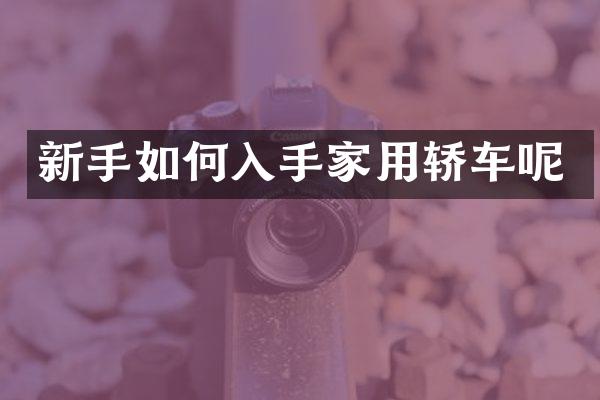 新手如何入手家用轿车呢