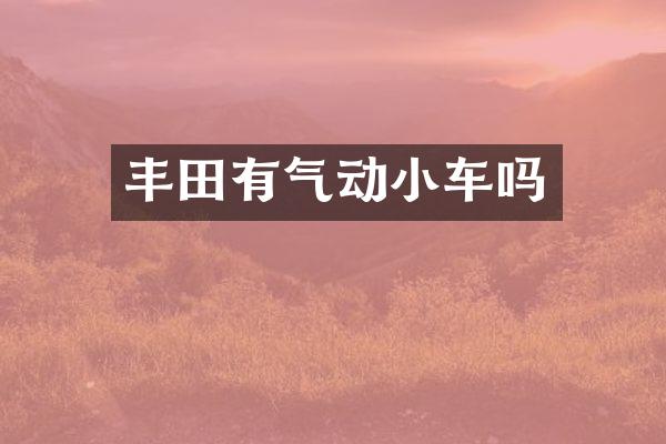 丰田有气动小车吗