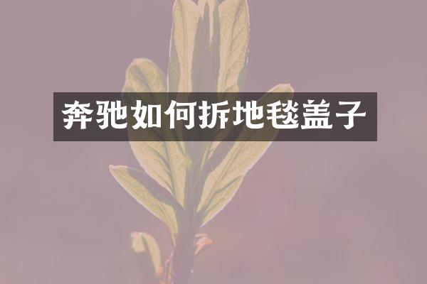 奔驰如何拆地毯盖子