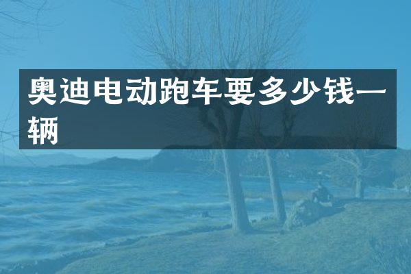 奥迪电动跑车要多少钱一辆