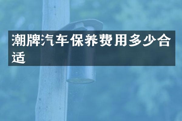潮牌汽车保养费用多少合适