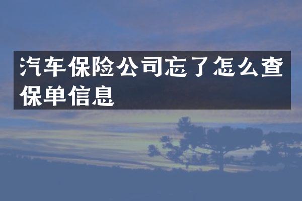 汽车保险公司忘了怎么查保单信息