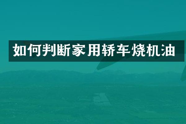 如何判断家用轿车烧机油