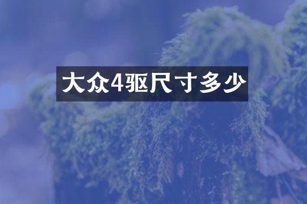 大众4驱尺寸多少