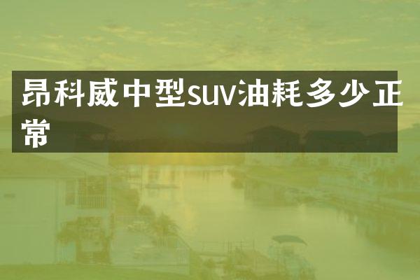 昂科威中型suv油耗多少正常