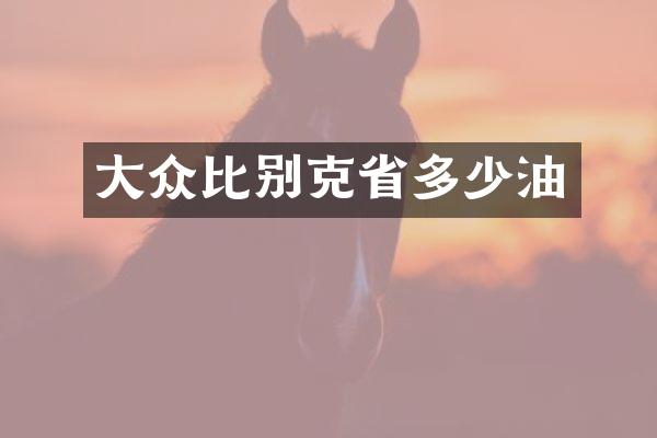 大众比别克省多少油