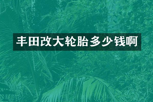 丰田改大轮胎多少钱啊