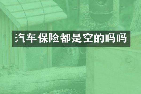 汽车保险都是空的吗吗