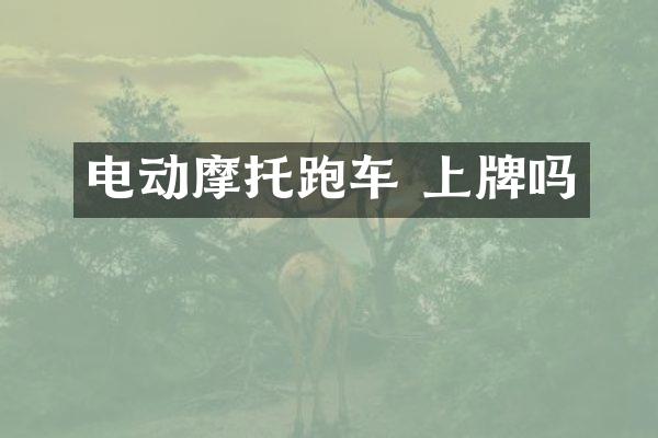 电动摩托跑车 上牌吗