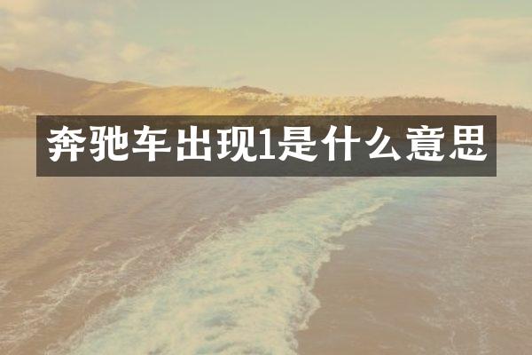 奔驰车出现1是什么意思