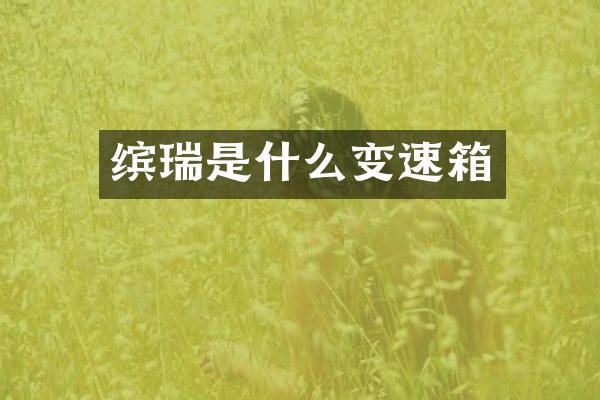 缤瑞是什么变速箱