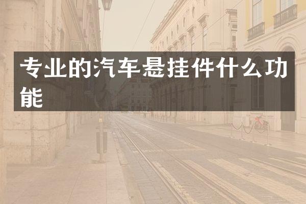 专业的汽车悬挂件什么功能