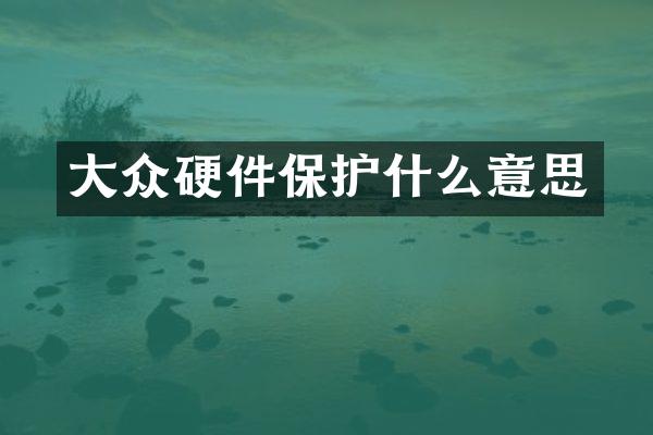 大众硬件保护什么意思