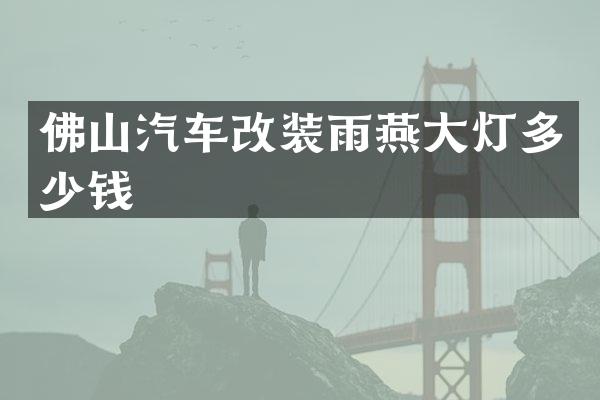 佛山汽车改装雨燕大灯多少钱