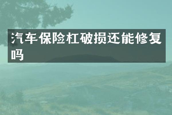 汽车保险杠破损还能修复吗