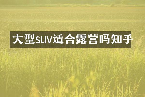 大型suv适合露营吗知乎